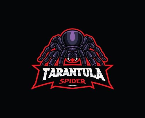 Tarantula spider icon vector