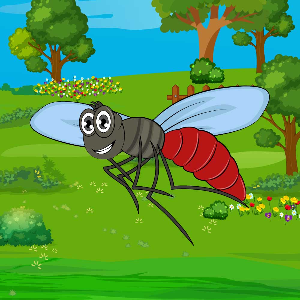Mosquito cartoon vector