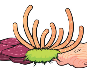 Coral reef clipart