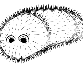 Woolly bear caterpillar cartoon black and white clipart