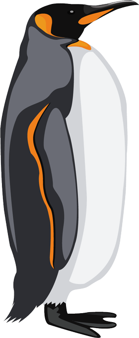 Penguin Clipart