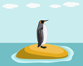 Penguin Vector