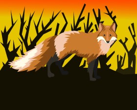 Fox Vector