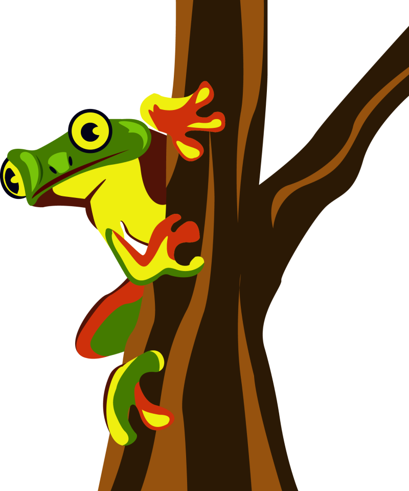 Tree frog Clipart