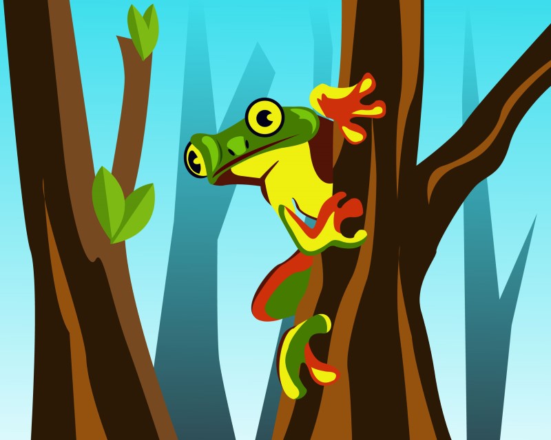 Tree frog Vector