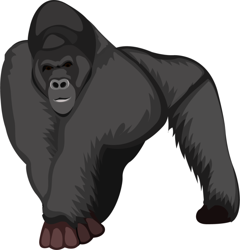 Clipart De Gorila Gratis