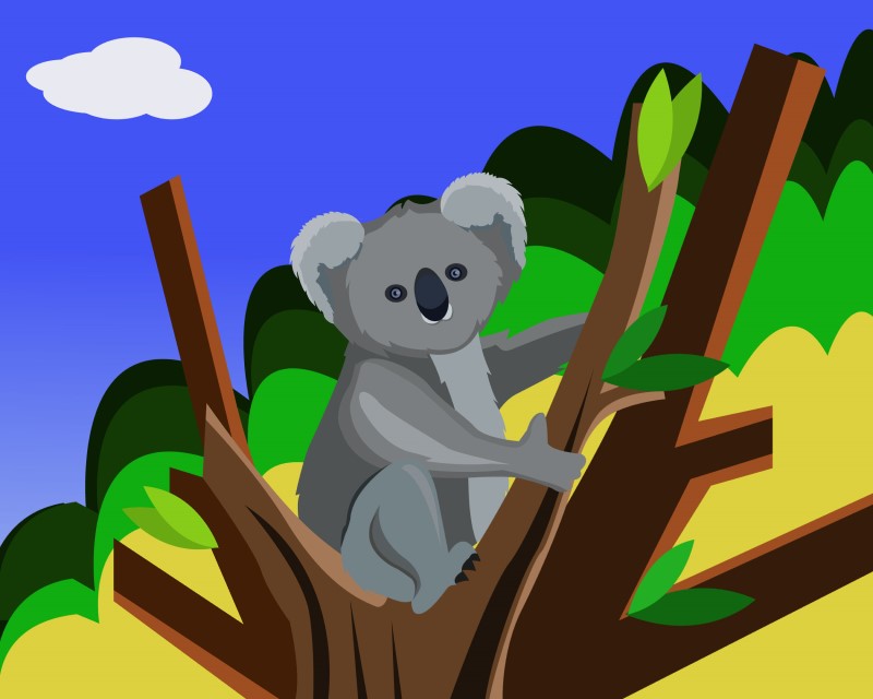 Koala Vector