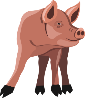 Pink Pig Clipart