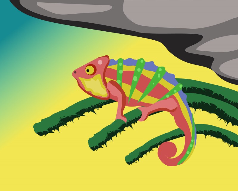 Reptile Chameleon Vector