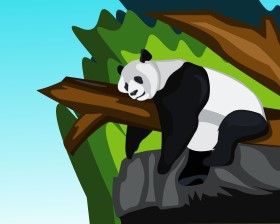 Sleeping Panda Vector