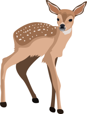 Cute Deer Clipart