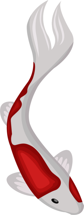 Koi Fish Clipart