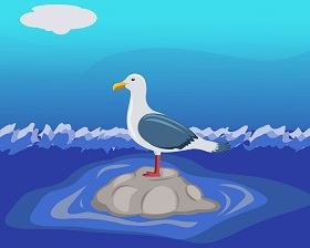 Gull Bird Vector