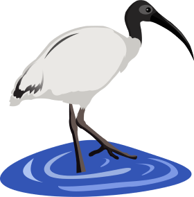 Ibis Clipart