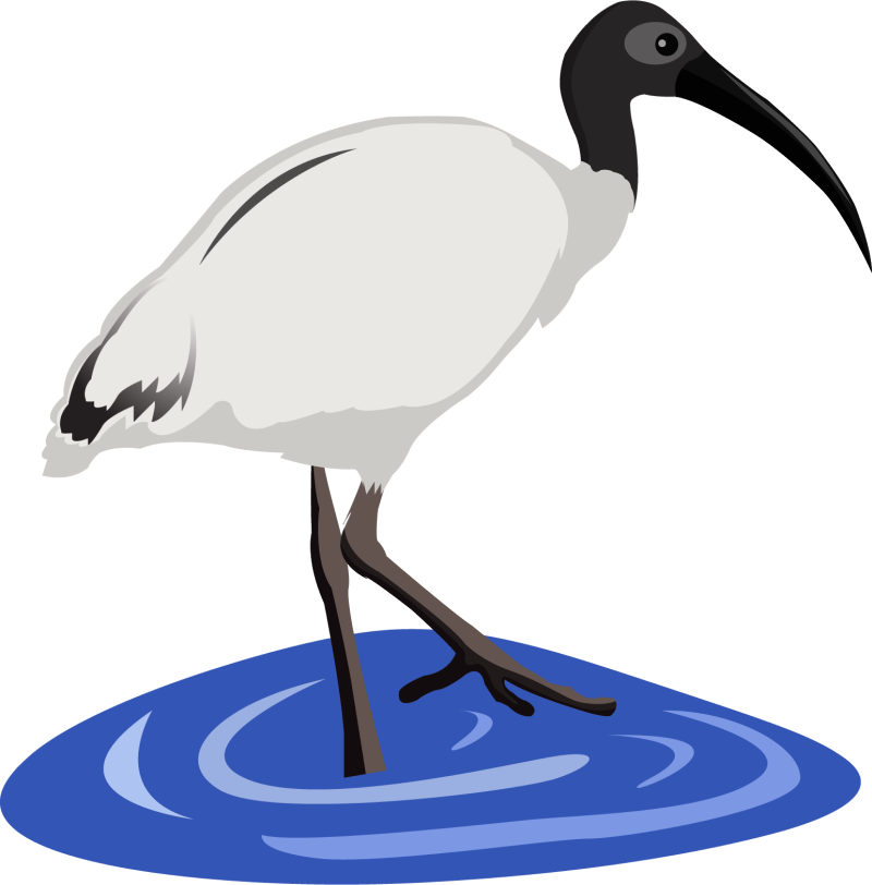 Ibis Clipart