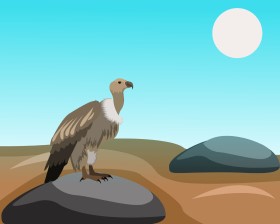 Vulture Vector