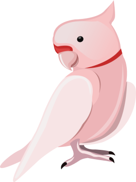 White Parrot Clipart