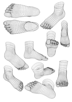 3D model of human foot style vector