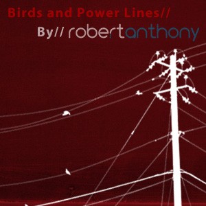 Birds and Power Lines Photoshop Brushes