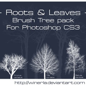 Tree Brushes Pack Photoshop Brushes