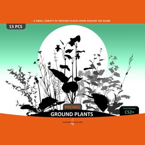 Ground Plants Selection Photoshop Brushes