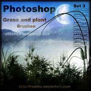 Grass and Plant Photoshop Brushes