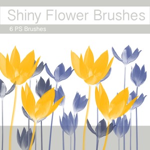 Shiny Flower Brushes Photoshop Brushes