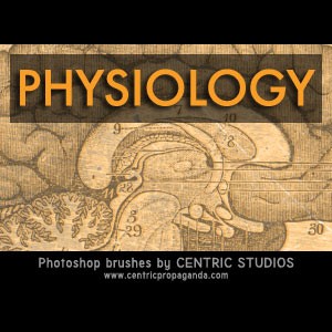 Physiology Photoshop Brushes