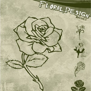 Floral Design Photoshop Brushes